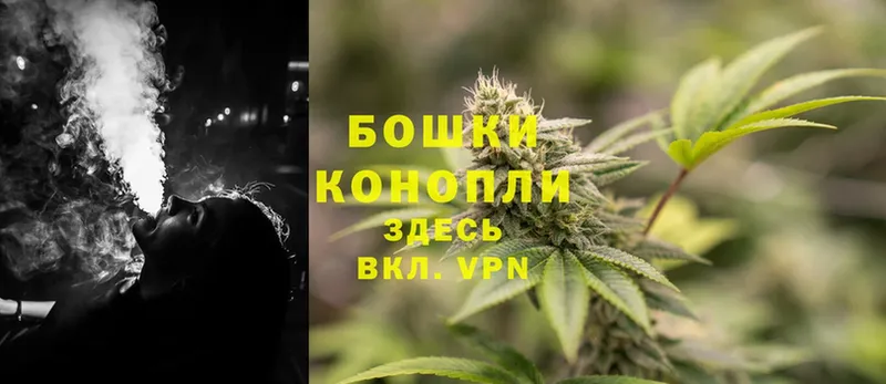 Бошки Шишки SATIVA & INDICA  где продают наркотики  Пудож 